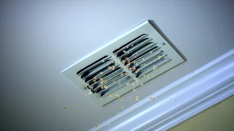 Home Air Vent Cleaning in MS