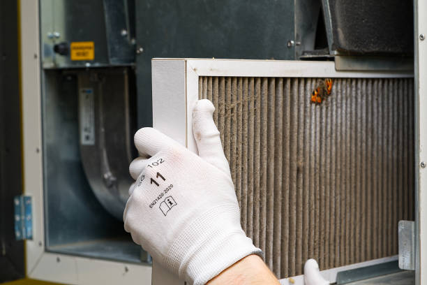Best Home Air Vent Cleaning  in Tupelo, MS