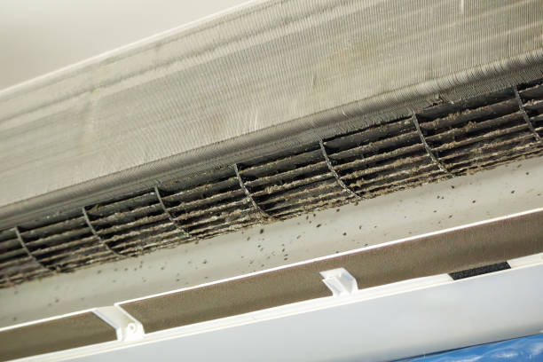 Best Residential Air Duct Cleaning  in Tupelo, MS